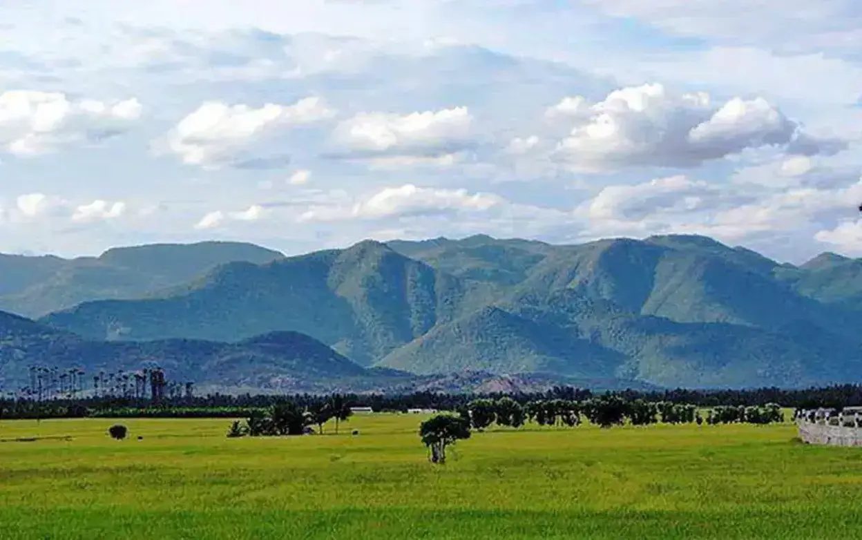 Pachaimalai Hills